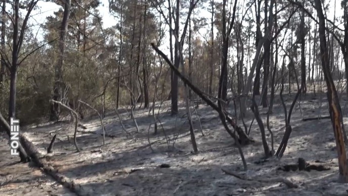 Obnova može trajati decenijama